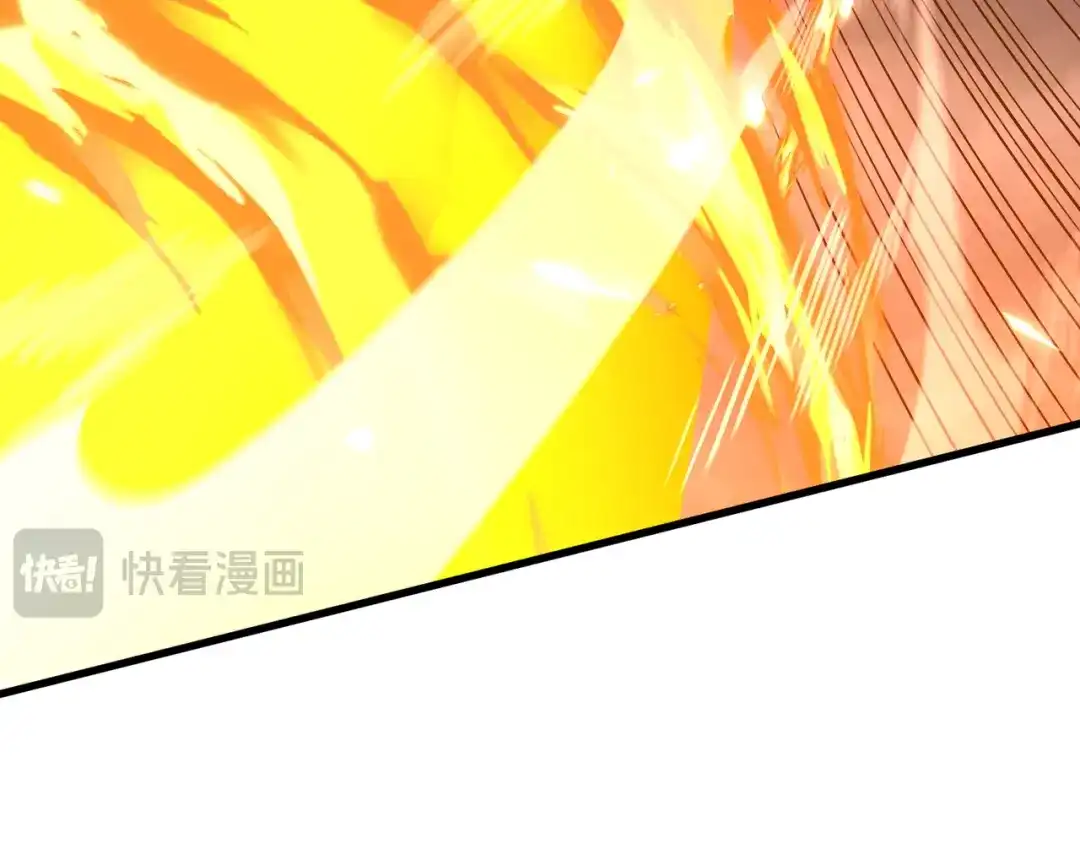 第229页