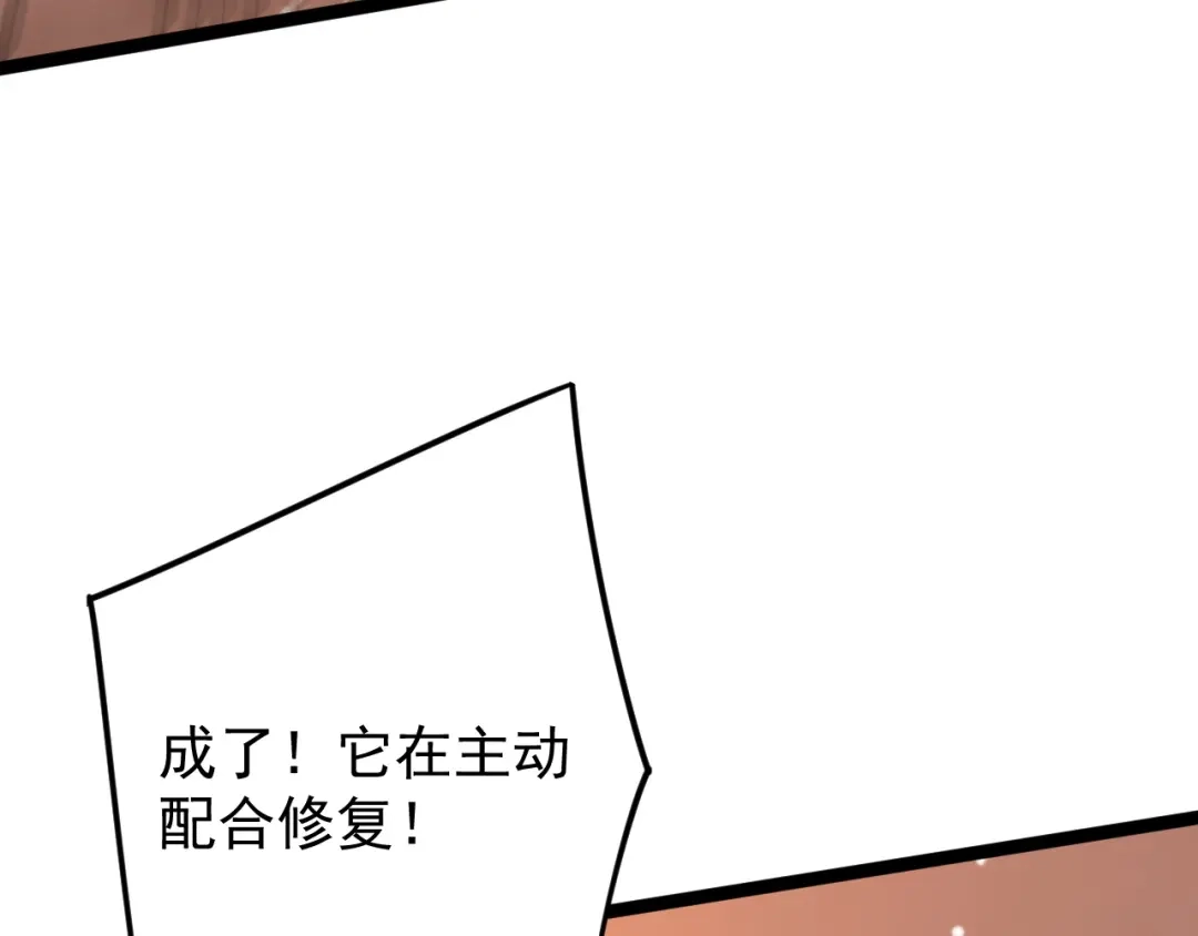 第260页