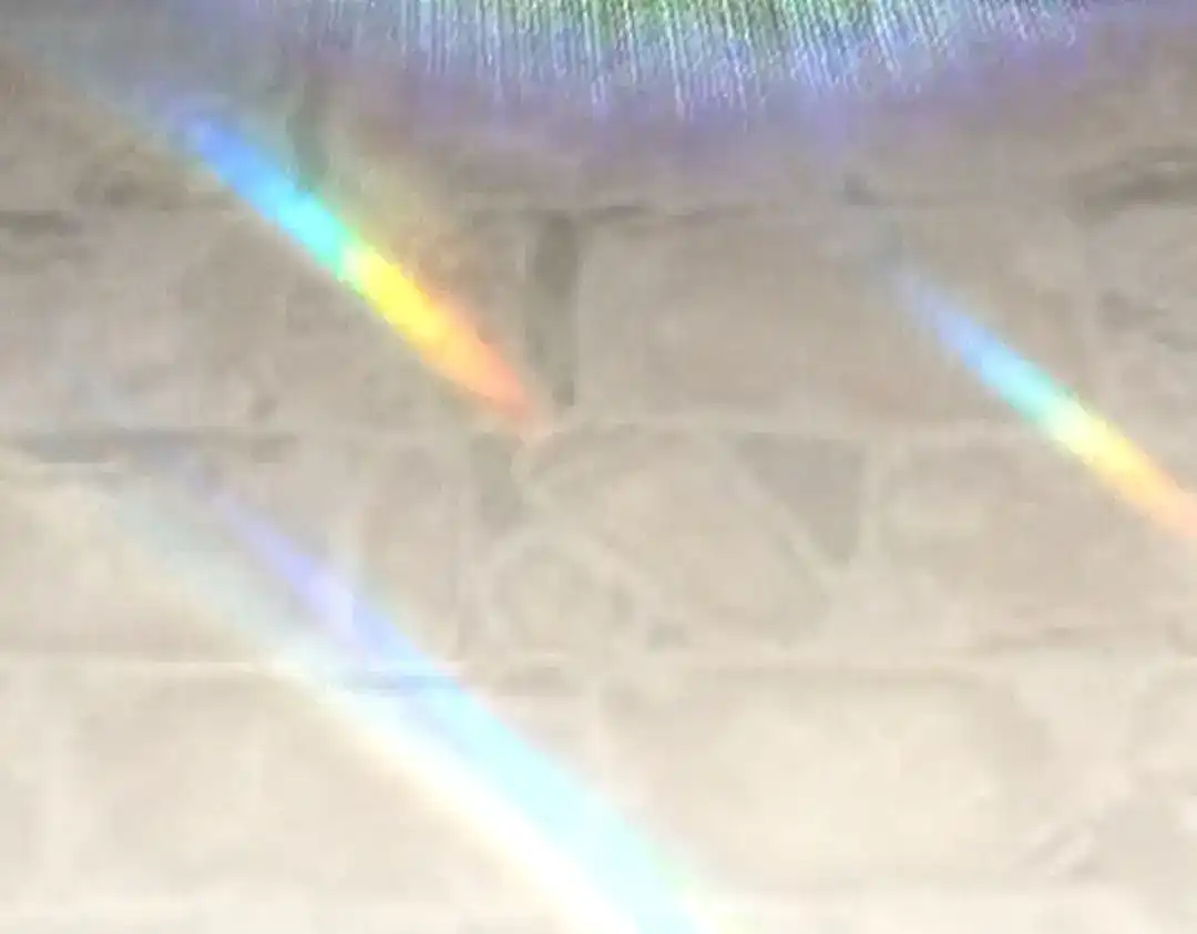 SSS级超越常理的圣骑士 第173话 第628页