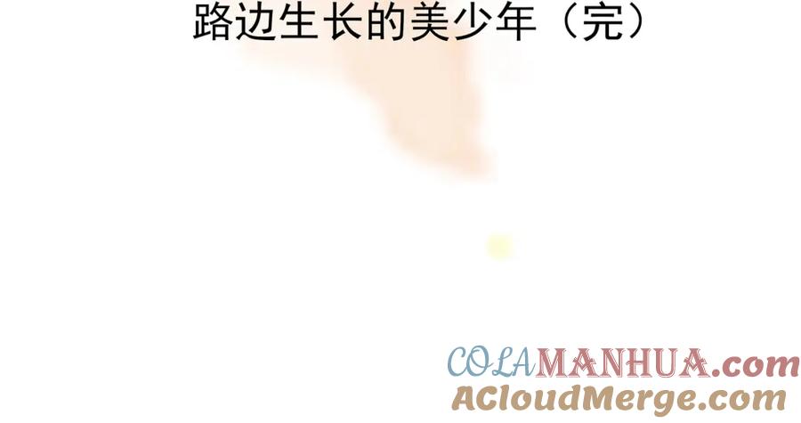 第173页