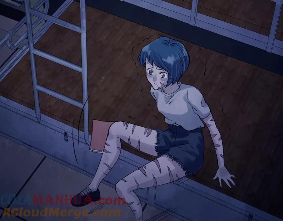 第117页