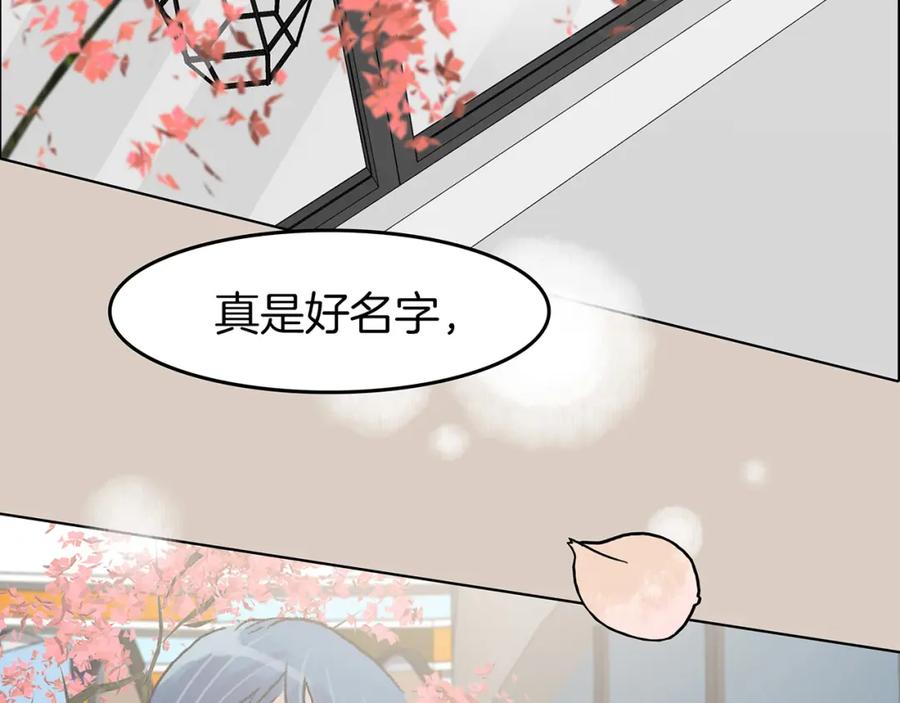 第206页