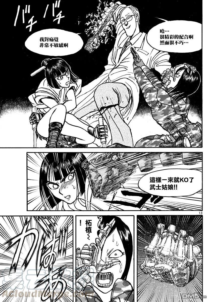 第13页