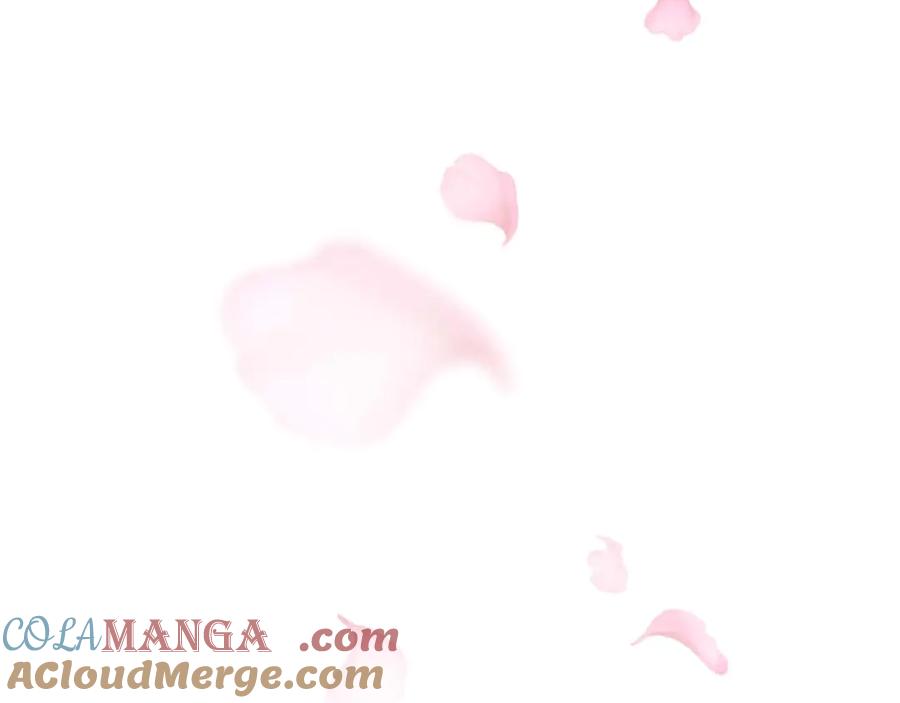 第426页