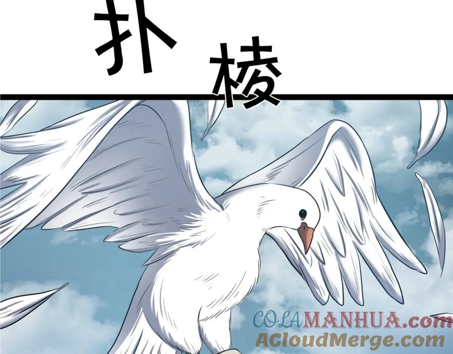 第181页