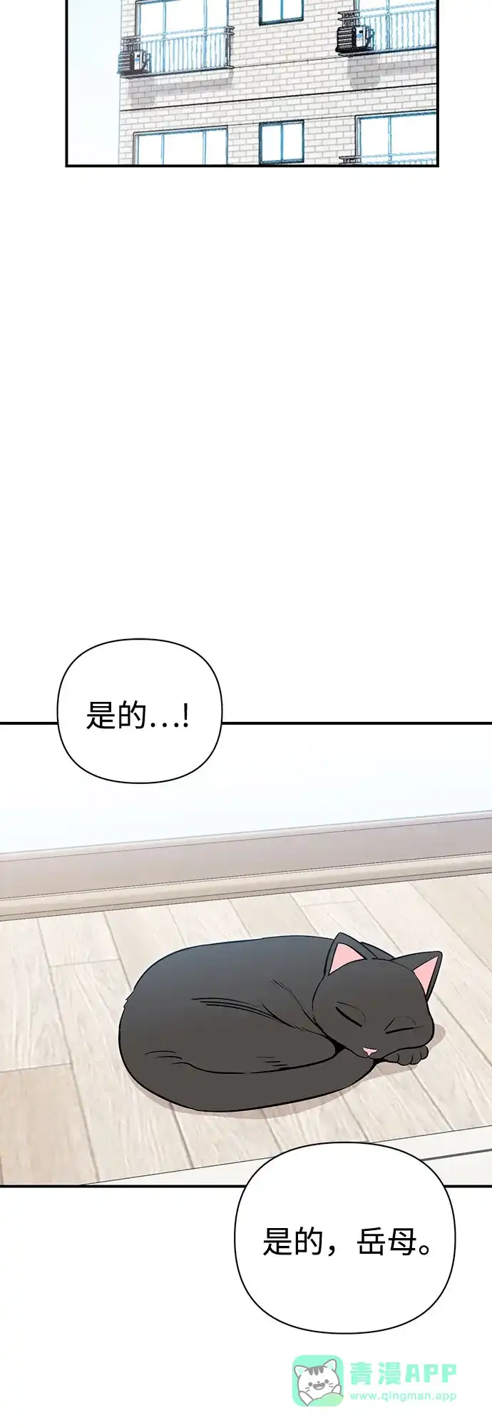 第226页