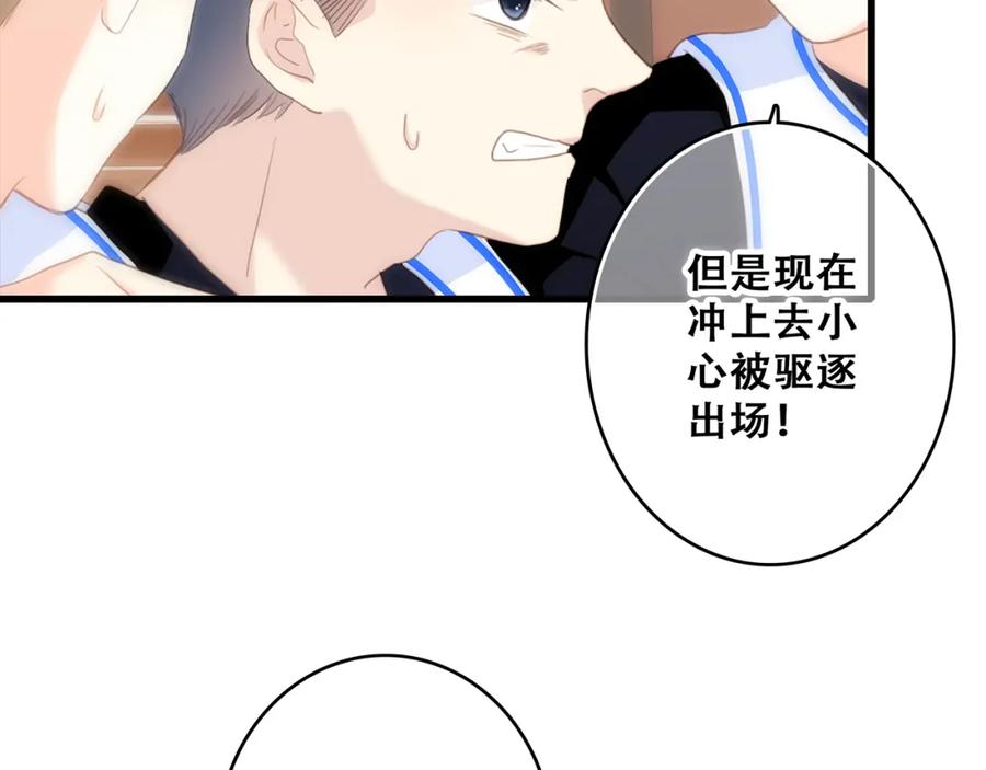 第204页