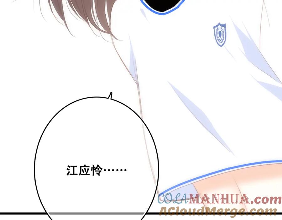 第233页
