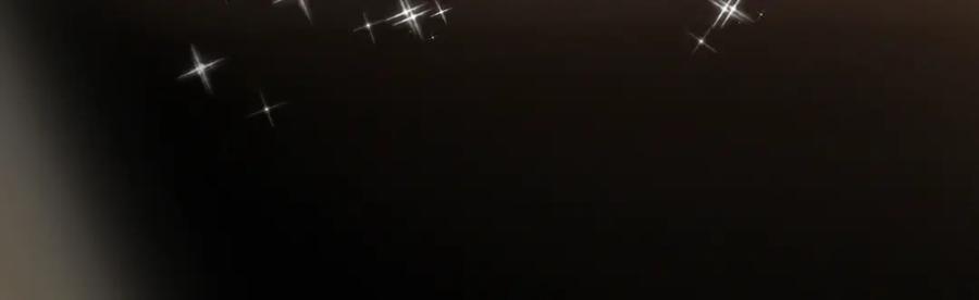 第306页