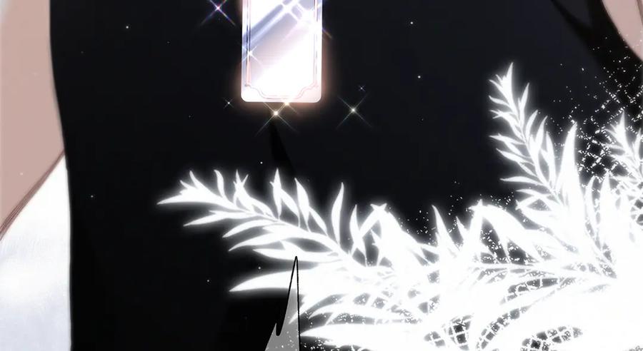 第215页