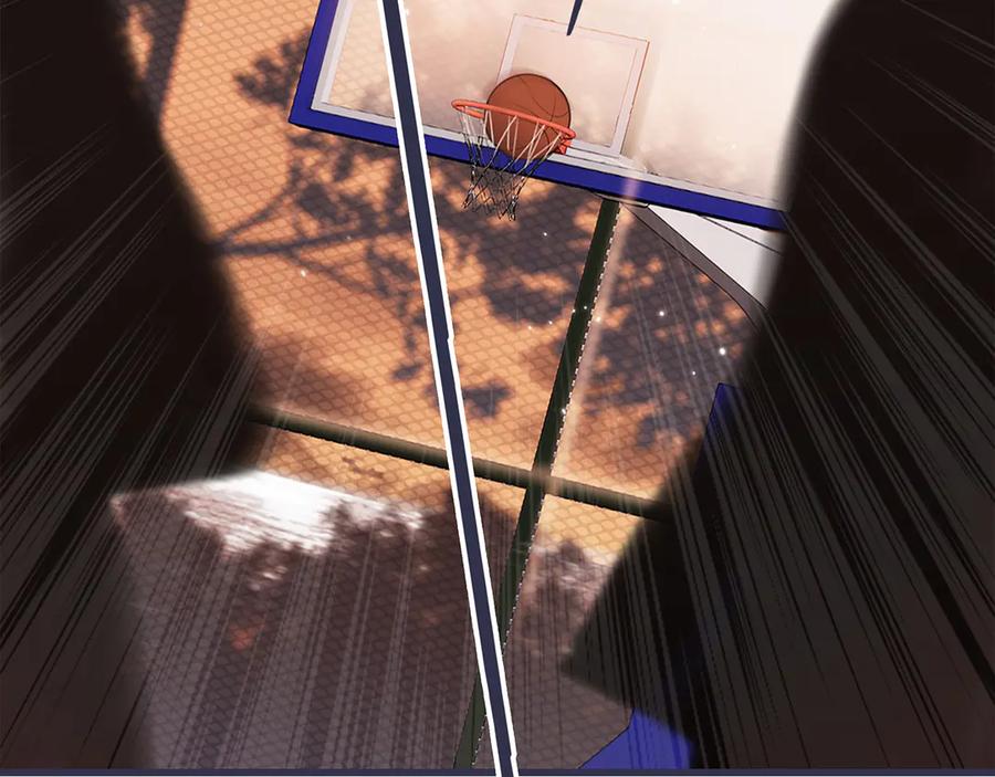 第231页