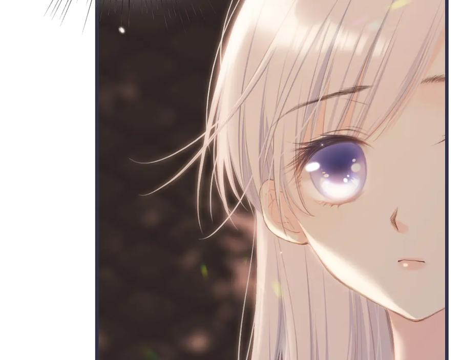第239页