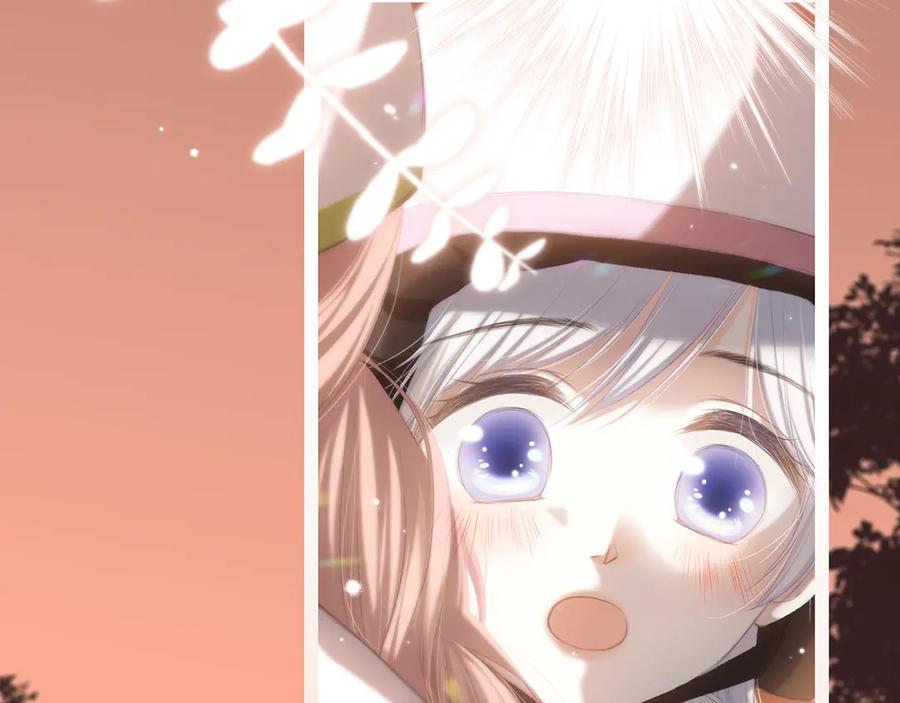 第278页