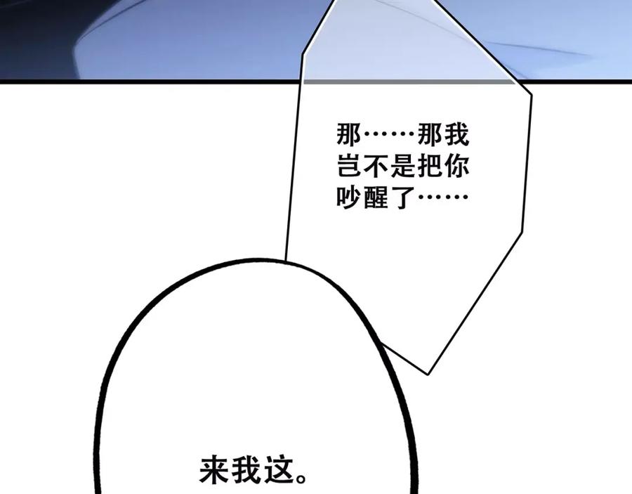 第204页