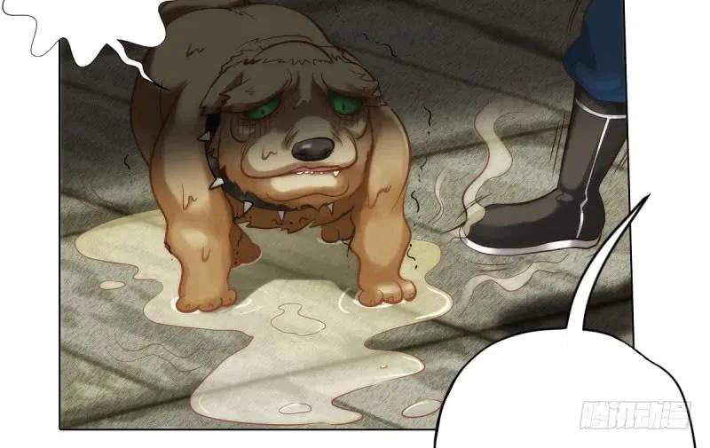 第47页