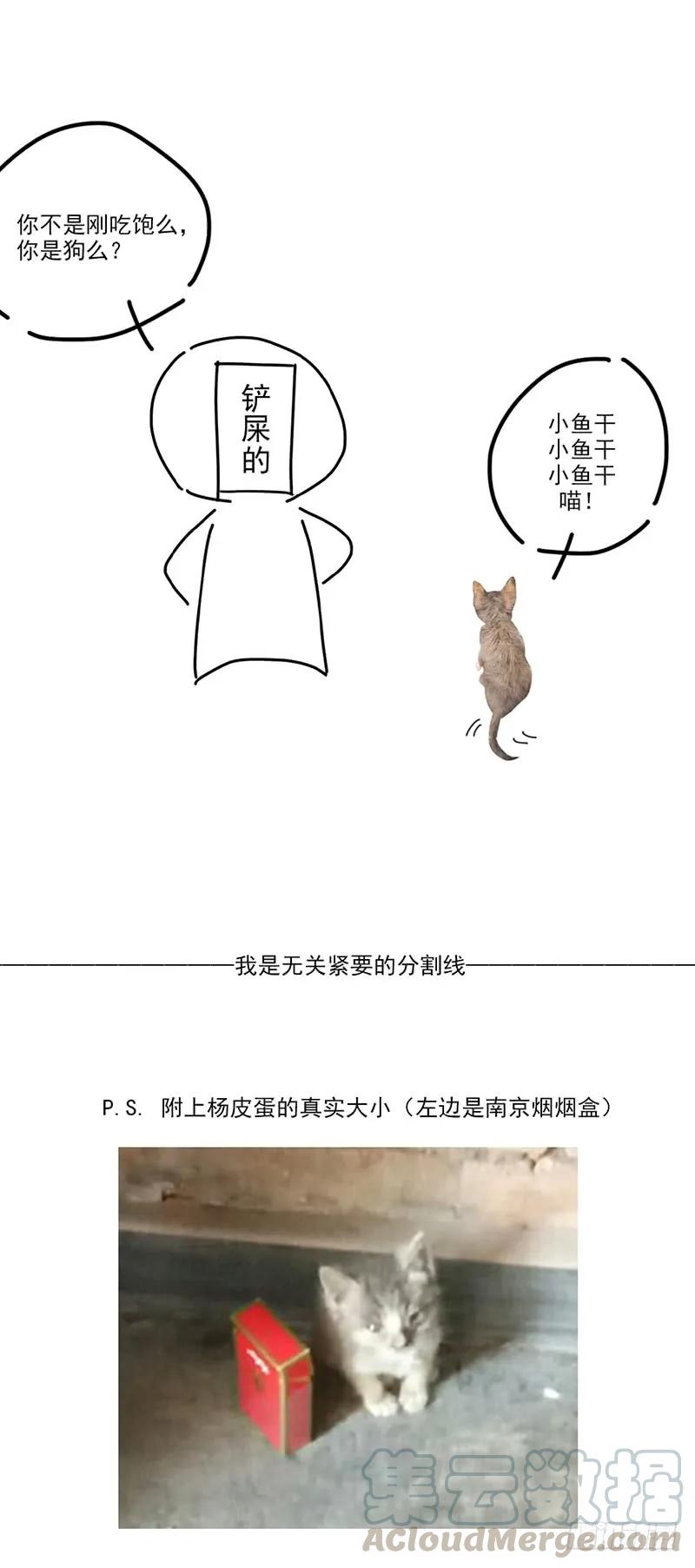 第191页