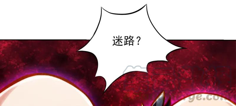第216页