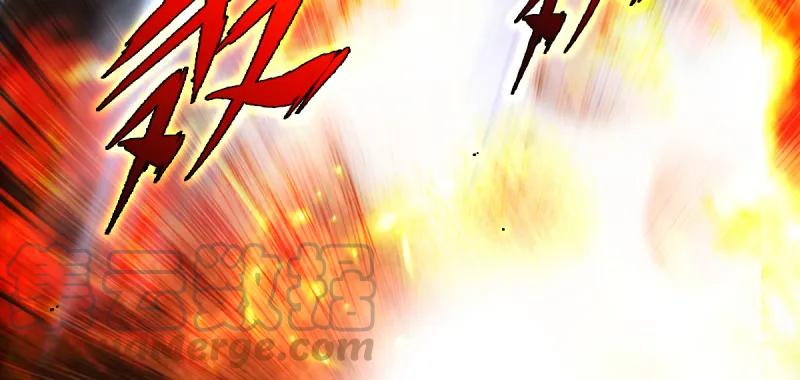 第216页