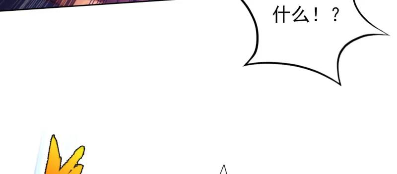 第223页