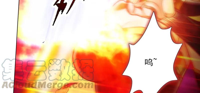 第196页