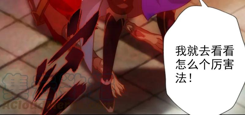 第211页