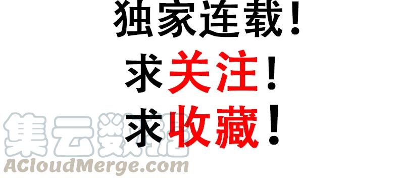 第241页