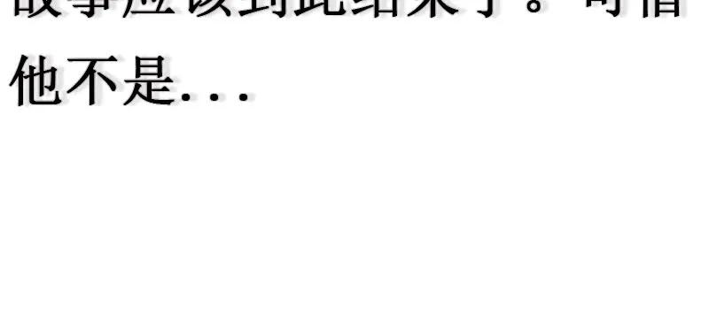 第242页