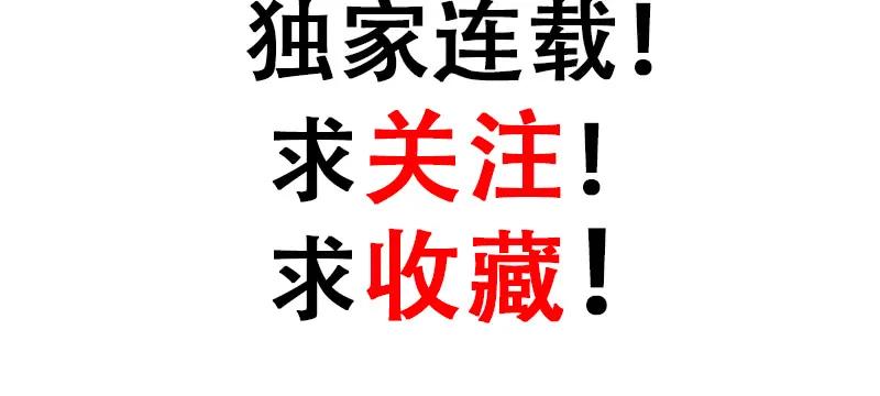 第255页