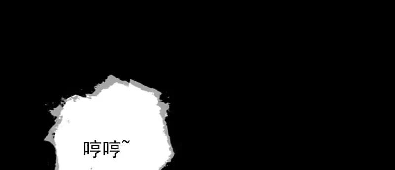第217页