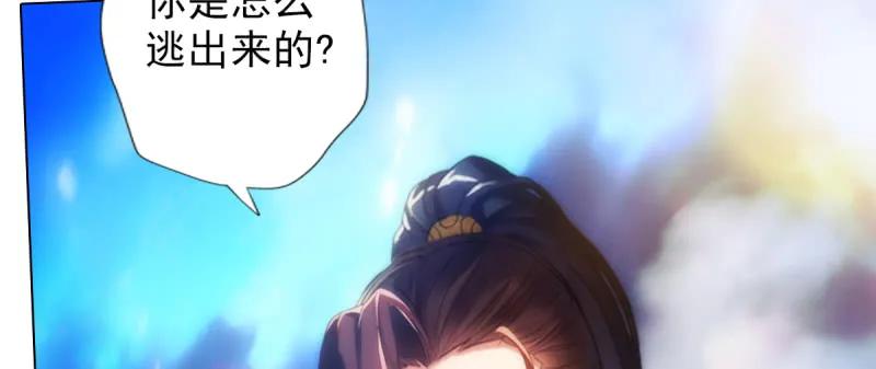 第223页