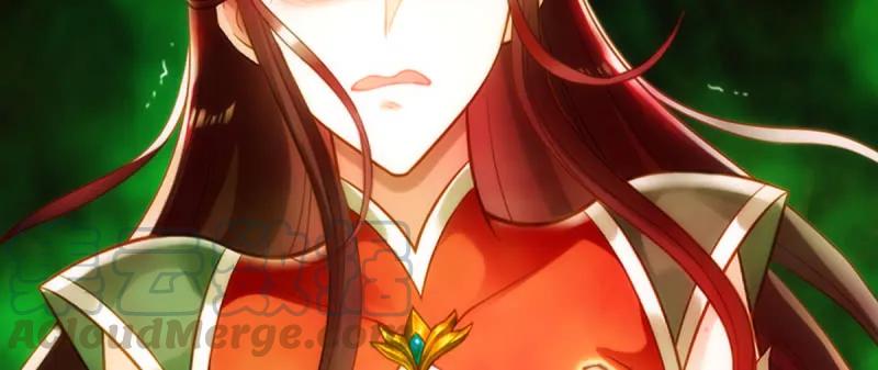 第216页