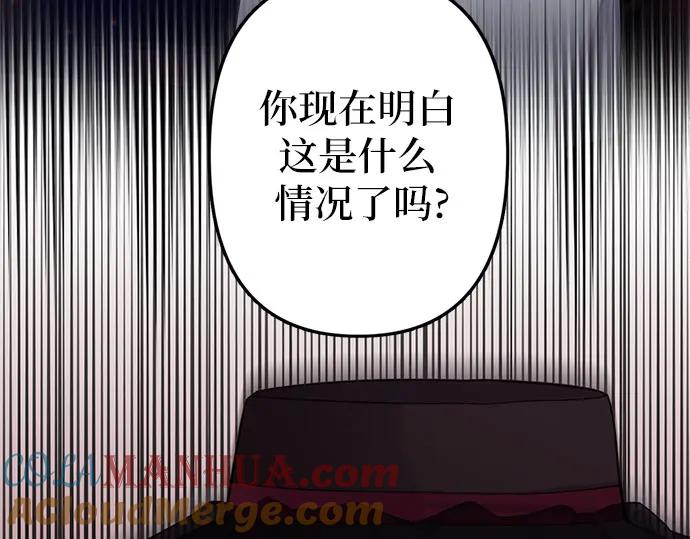 第221页