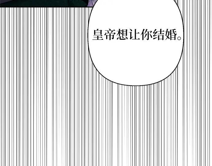 第236页