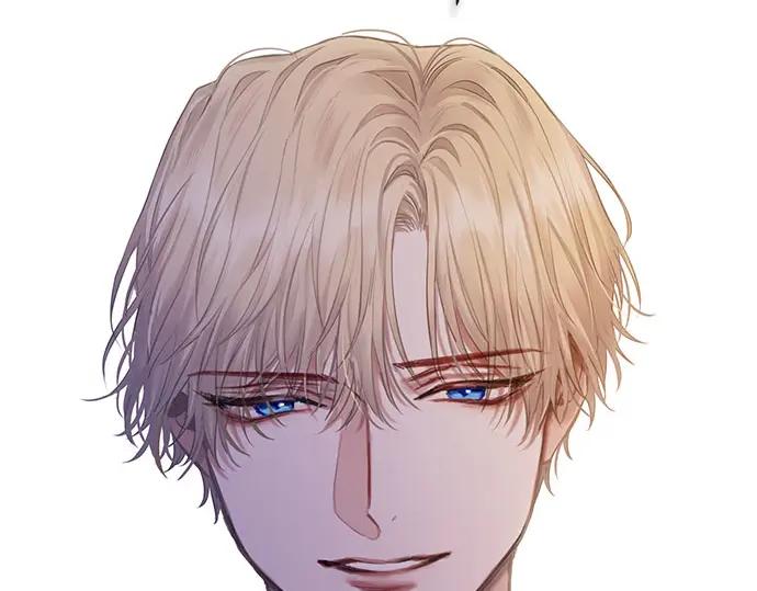 第204页