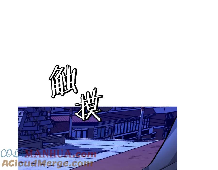 第229页