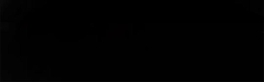 第223页