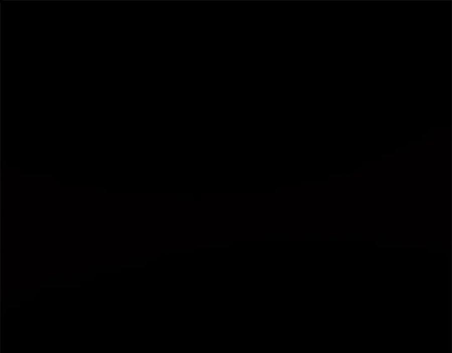 第224页