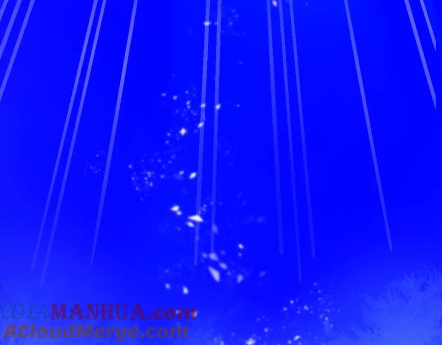 第229页