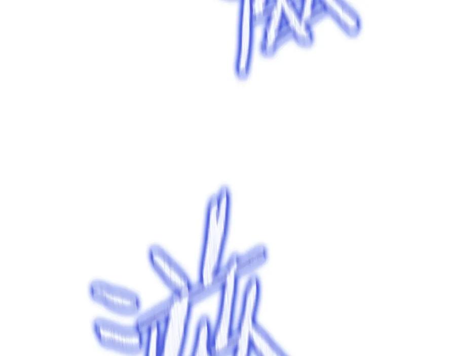 第255页