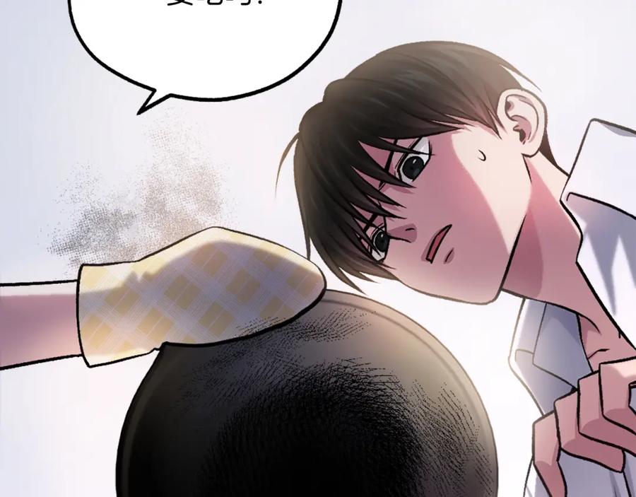 第242页