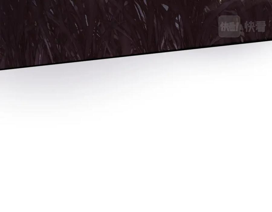 第247页
