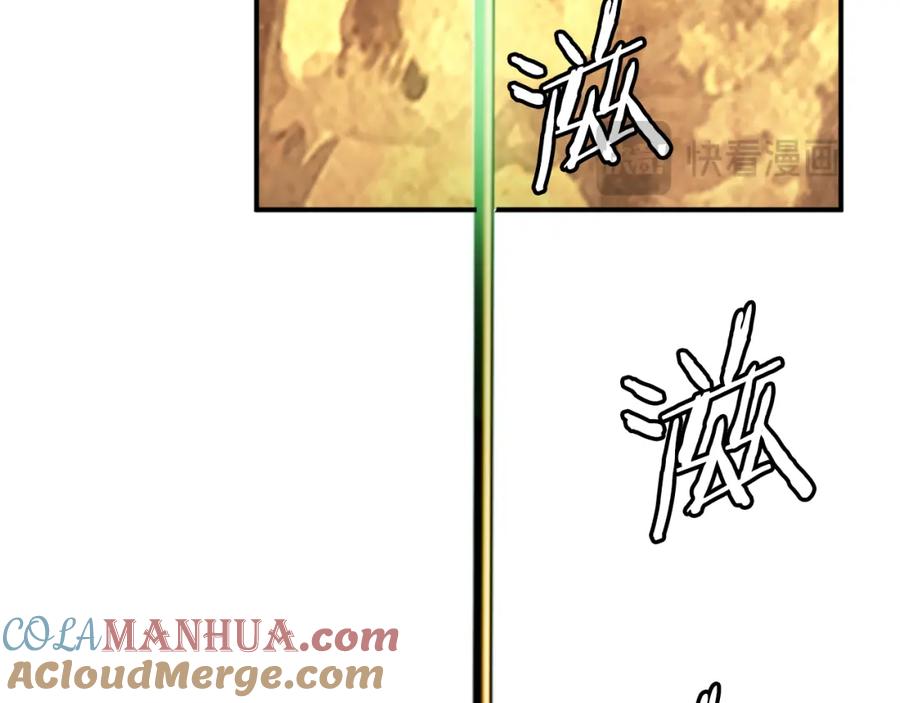 第229页