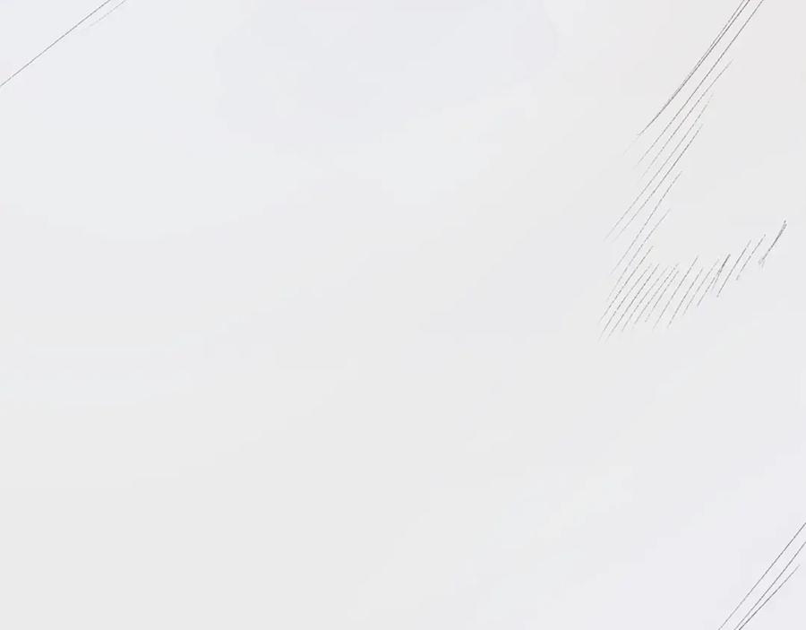 第238页