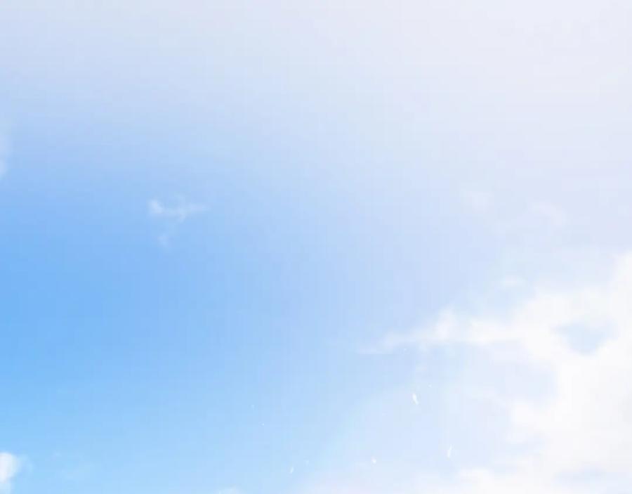 第207页