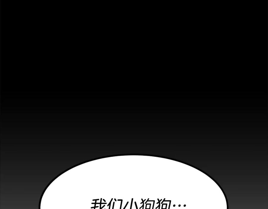 第247页