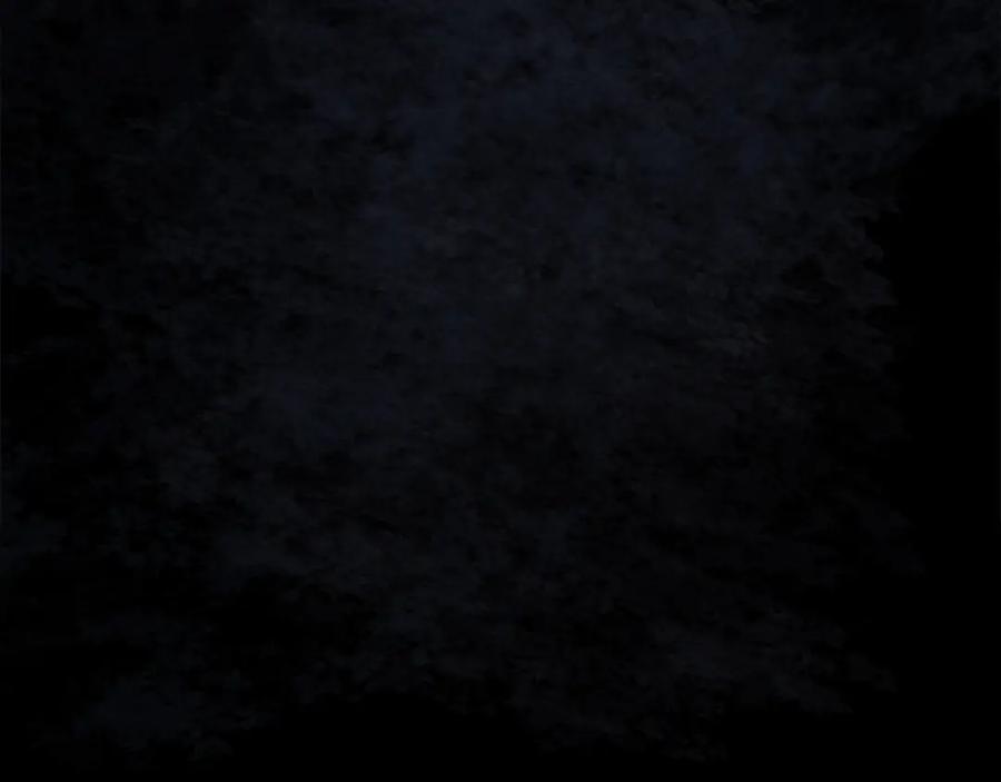 第334页