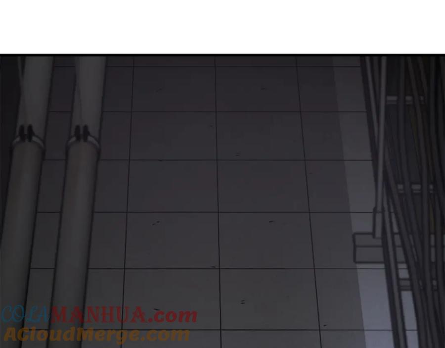 第261页