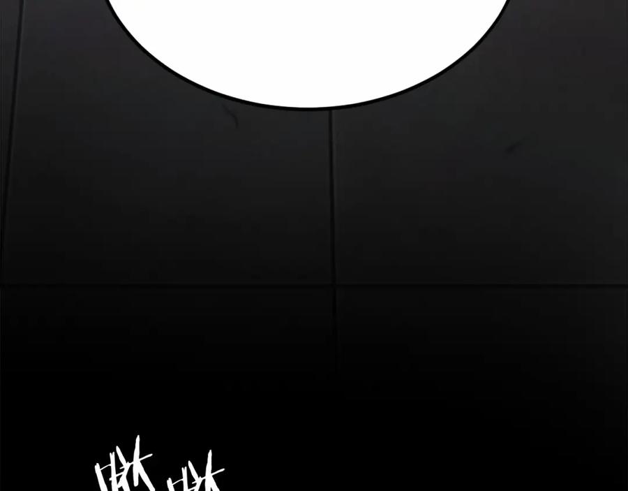 第239页