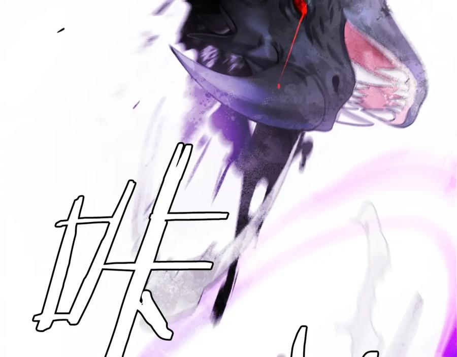 第242页