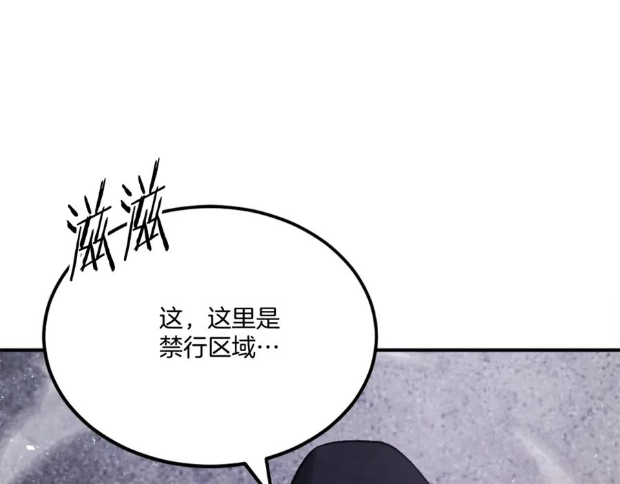 第231页